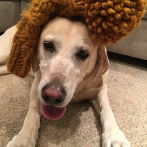 Meet your Posher, Taylor